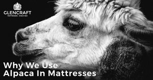 Using Alpaca In Mattresses